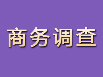 承德县商务调查